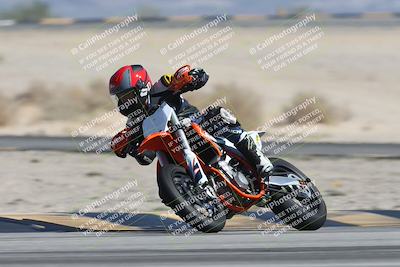 media/Oct-13-2025-Moto Forza (Mon) [[a66d839500]]/3-B Group/Session 4 Turn 4 Tree of Life/